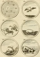 An illustration from Verzámeling van uitgekórene zin-spreuken, en zinnebeeldige print-vercieringen : eertyds, op bevel van den aller doorlugtigsten keizer der Russen, Peter Alexis, of de Gróte, getékent en gesnéden : en nu op nieus verrykt : met agthondert en veertig byschriften in verzen (1743)