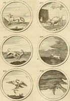 An illustration from Verzámeling van uitgekórene zin-spreuken, en zinnebeeldige print-vercieringen : eertyds, op bevel van den aller doorlugtigsten keizer der Russen, Peter Alexis, of de Gróte, getékent en gesnéden : en nu op nieus verrykt : met agthondert en veertig byschriften in verzen (1743)