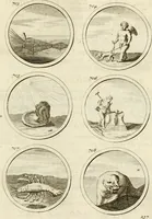 Picture 150 of 176 from Verzámeling van uitgekórene zin-spreuken, en zinnebeeldige print-vercieringen : eertyds, op bevel van den aller doorlugtigsten keizer der Russen, Peter Alexis, of de Gróte, getékent en gesnéden : en nu op nieus verrykt : met agthondert en veertig byschriften in verzen (1743), leaf 252