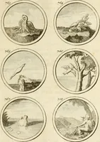An illustration from Verzámeling van uitgekórene zin-spreuken, en zinnebeeldige print-vercieringen : eertyds, op bevel van den aller doorlugtigsten keizer der Russen, Peter Alexis, of de Gróte, getékent en gesnéden : en nu op nieus verrykt : met agthondert en veertig byschriften in verzen (1743)