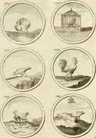 An illustration from Verzámeling van uitgekórene zin-spreuken, en zinnebeeldige print-vercieringen : eertyds, op bevel van den aller doorlugtigsten keizer der Russen, Peter Alexis, of de Gróte, getékent en gesnéden : en nu op nieus verrykt : met agthondert en veertig byschriften in verzen (1743)