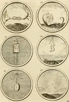 An illustration from Verzámeling van uitgekórene zin-spreuken, en zinnebeeldige print-vercieringen : eertyds, op bevel van den aller doorlugtigsten keizer der Russen, Peter Alexis, of de Gróte, getékent en gesnéden : en nu op nieus verrykt : met agthondert en veertig byschriften in verzen (1743)