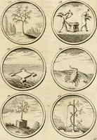 An illustration from Verzámeling van uitgekórene zin-spreuken, en zinnebeeldige print-vercieringen : eertyds, op bevel van den aller doorlugtigsten keizer der Russen, Peter Alexis, of de Gróte, getékent en gesnéden : en nu op nieus verrykt : met agthondert en veertig byschriften in verzen (1743)
