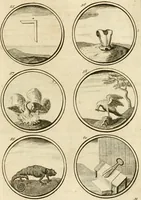 Picture 12 of 176 from Verzámeling van uitgekórene zin-spreuken, en zinnebeeldige print-vercieringen : eertyds, op bevel van den aller doorlugtigsten keizer der Russen, Peter Alexis, of de Gróte, getékent en gesnéden : en nu op nieus verrykt : met agthondert en veertig byschriften in verzen (1743), leaf 36