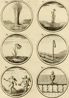 An illustration from Verzámeling van uitgekórene zin-spreuken, en zinnebeeldige print-vercieringen : eertyds, op bevel van den aller doorlugtigsten keizer der Russen, Peter Alexis, of de Gróte, getékent en gesnéden : en nu op nieus verrykt : met agthondert en veertig byschriften in verzen (1743)