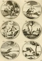 An illustration from Verzámeling van uitgekórene zin-spreuken, en zinnebeeldige print-vercieringen : eertyds, op bevel van den aller doorlugtigsten keizer der Russen, Peter Alexis, of de Gróte, getékent en gesnéden : en nu op nieus verrykt : met agthondert en veertig byschriften in verzen (1743)