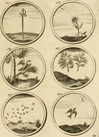 An illustration from Verzámeling van uitgekórene zin-spreuken, en zinnebeeldige print-vercieringen : eertyds, op bevel van den aller doorlugtigsten keizer der Russen, Peter Alexis, of de Gróte, getékent en gesnéden : en nu op nieus verrykt : met agthondert en veertig byschriften in verzen (1743)