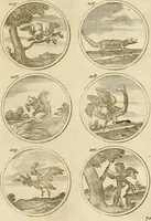 An illustration from Verzámeling van uitgekórene zin-spreuken, en zinnebeeldige print-vercieringen : eertyds, op bevel van den aller doorlugtigsten keizer der Russen, Peter Alexis, of de Gróte, getékent en gesnéden : en nu op nieus verrykt : met agthondert en veertig byschriften in verzen (1743)