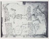 Picture 4 of 15 from Verzeichnis astrologischer und mythologischer illustrierter Handschriften des lateinischen Mittelalters / von Fritz Saxl und Hans Meier. (1915), leaf 152