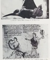 Picture 5 of 15 from Verzeichnis astrologischer und mythologischer illustrierter Handschriften des lateinischen Mittelalters / von Fritz Saxl und Hans Meier. (1915), leaf 153