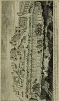 Picture 15 of 52 from Vestigi delle antichita di Roma, Tiuoli, Pozzuolo et altri luochi (1606), leaf 28