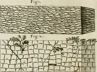 Picture 54 of 136 from Vetera monimenta : in quibus praecipuè musiva opera sacarum profanarumque aedium structura, ac nonnulli antiqui ritus, dissertationibus, iconibusque illustrantur (1690), leaf 153