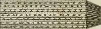 Picture 55 of 136 from Vetera monimenta : in quibus praecipuè musiva opera sacarum profanarumque aedium structura, ac nonnulli antiqui ritus, dissertationibus, iconibusque illustrantur (1690), leaf 153