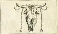 An illustration from Veterum Romanorum Religio castrametatio, disciplina militaris ut & balneae ex antiquis numismatibus & lapidibus demonstrata (1686)