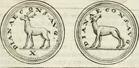 Picture 133 of 495 from Veterum Romanorum Religio castrametatio, disciplina militaris ut & balneae ex antiquis numismatibus & lapidibus demonstrata (1686), leaf 88