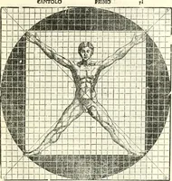 Picture 44 of 88 from Vetrvvio con il svo comento et figvre (1536), leaf 150