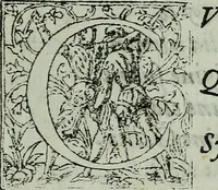 An illustration from Vgolini Verini poetae Florentini De illustratione vrbis Florentiae libri tres (1636)