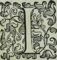 An illustration from Vgolini Verini poetae Florentini De illustratione vrbis Florentiae libri tres (1636)