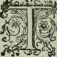 An illustration from Vgolini Verini poetae Florentini De illustratione vrbis Florentiae libri tres (1636)