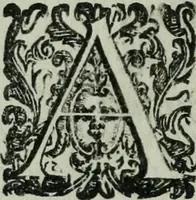 An illustration from Vgolini Verini poetae Florentini De illustratione vrbis Florentiae libri tres (1636)