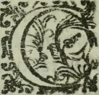 An illustration from Vgolini Verini poetae Florentini De illustratione vrbis Florentiae libri tres (1636)