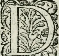 An illustration from Viage de la serenissima reyna Doña Maria Ana de Austria, segunda muger de Don Philipe Quarto deste nombre, Rey Catholico de Hespaña, hasta la real corte de Madrid, desde la imperial de Viena (1650)