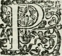 An illustration from Viage de la serenissima reyna Doña Maria Ana de Austria, segunda muger de Don Philipe Quarto deste nombre, Rey Catholico de Hespaña, hasta la real corte de Madrid, desde la imperial de Viena (1650)
