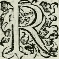 An illustration from Viage de la serenissima reyna Doña Maria Ana de Austria, segunda muger de Don Philipe Quarto deste nombre, Rey Catholico de Hespaña, hasta la real corte de Madrid, desde la imperial de Viena (1650)