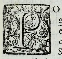 An illustration from Viage del rey nuestro señor don Felipe Quarto el Grande, a la frontera de Francia : funciones reales, del desposorio, y entregas de la serenissima señora infante de España doña Maria Teresa de Austria : vistas de Sus Magestades catolica y christianissima, señora reyna christianissima madre, y señor duque de Anjou : solemne iuramento de la paz, y sucessos de ida, y buelta de la jornada, en relacion diaria (1667)
