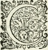 An illustration from Viagem da Catholica Real Magestade del Rey D. Filipe II N.S. ao Reyno de Portvgal e rellaçao do solene recebimento que nelle se lhe fez S. Magestade a mandou (1621)