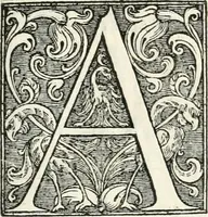 An illustration from Viagem da Catholica Real Magestade del Rey D. Filipe II N.S. ao Reyno de Portvgal e rellaçao do solene recebimento que nelle se lhe fez S. Magestade a mandou (1621)