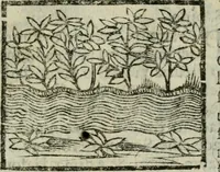 An illustration from Viaggio da Venetia al Santo Sepolcro, et al monte Sinai; col dissegno delle città, castelli, ville, chiese, monasterij, isole, porti, & fiumi, che sin là si ritrouano; et vna breue regola di quanto si dee osseruar nel detto viaggio, e quel che si paga da luoco à luoco, sì di dacij, come d'altre cose (1606)