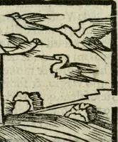An illustration from Viaggio da Venetia al Santo Sepolcro, et al monte Sinai; col dissegno delle città, castelli, ville, chiese, monasterij, isole, porti, & fiumi, che sin là si ritrouano; et vna breue regola di quanto si dee osseruar nel detto viaggio, e quel che si paga da luoco à luoco, sì di dacij, come d'altre cose (1606)