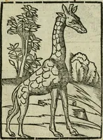 An illustration from Viaggio da Venetia al Santo Sepolcro, et al monte Sinai; col dissegno delle città, castelli, ville, chiese, monasterij, isole, porti, & fiumi, che sin là si ritrouano; et vna breue regola di quanto si dee osseruar nel detto viaggio, e quel che si paga da luoco à luoco, sì di dacij, come d'altre cose (1606)