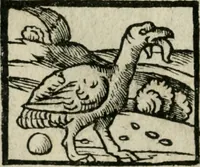 An illustration from Viaggio da Venetia al Santo Sepolcro, et al monte Sinai; col dissegno delle città, castelli, ville, chiese, monasterij, isole, porti, & fiumi, che sin là si ritrouano; et vna breue regola di quanto si dee osseruar nel detto viaggio, e quel che si paga da luoco à luoco, sì di dacij, come d'altre cose (1606)