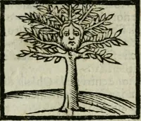 An illustration from Viaggio da Venetia al Santo Sepolcro, et al monte Sinai; col dissegno delle città, castelli, ville, chiese, monasterij, isole, porti, & fiumi, che sin là si ritrouano; et vna breue regola di quanto si dee osseruar nel detto viaggio, e quel che si paga da luoco à luoco, sì di dacij, come d'altre cose (1606)