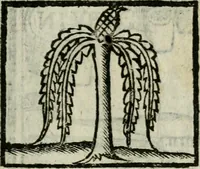An illustration from Viaggio da Venetia al Santo Sepolcro, et al monte Sinai; col dissegno delle città, castelli, ville, chiese, monasterij, isole, porti, & fiumi, che sin là si ritrouano; et vna breue regola di quanto si dee osseruar nel detto viaggio, e quel che si paga da luoco à luoco, sì di dacij, come d'altre cose (1606)