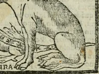 An illustration from Viaggio da Venetia al Santo Sepolcro, et al monte Sinai; col dissegno delle città, castelli, ville, chiese, monasterij, isole, porti, & fiumi, che sin là si ritrouano; et vna breue regola di quanto si dee osseruar nel detto viaggio, e quel che si paga da luoco à luoco, sì di dacij, come d'altre cose (1606)