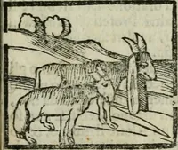 An illustration from Viaggio da Venetia al Santo Sepolcro, et al monte Sinai; col dissegno delle città, castelli, ville, chiese, monasterij, isole, porti, & fiumi, che sin là si ritrouano; et vna breue regola di quanto si dee osseruar nel detto viaggio, e quel che si paga da luoco à luoco, sì di dacij, come d'altre cose (1606)
