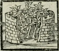 Picture 61 of 161 from Viaggio da Venetia al Santo Sepolcro, et al monte Sinai; col dissegno delle città, castelli, ville, chiese, monasterij, isole, porti, & fiumi, che sin là si ritrouano; et vna breue regola di quanto si dee osseruar nel detto viaggio, e quel che si paga da luoco à luoco, sì di dacij, come d'altre cose (1606), leaf 79