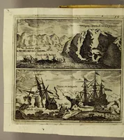 An illustration from Viaggio di Spizberga o' Gronlanda fatto da Federico Martens amburghese l'anno 1671. : Que si descriuono que' remotissimi paesi del settentrione sotto gli 81. gradi, ne' quali soggiorna il sole per lo spazio di tre mesi intieri. Con vna copiosa relazione di quell' aggiacciato clima, e de gli vccelli, quadrupedi, pesci, e piante rare, che vi nascono, colla descrizione delle balene, e lor pesca. (1680)