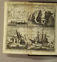 An illustration from Viaggio di Spizberga o' Gronlanda fatto da Federico Martens amburghese l'anno 1671. : Que si descriuono que' remotissimi paesi del settentrione sotto gli 81. gradi, ne' quali soggiorna il sole per lo spazio di tre mesi intieri. Con vna copiosa relazione di quell' aggiacciato clima, e de gli vccelli, quadrupedi, pesci, e piante rare, che vi nascono, colla descrizione delle balene, e lor pesca. (1680)