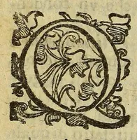 An illustration from Viaggio di Spizberga o' Grolanda [sic] fatto da Federico Martens amburghese l'anno 1671. : Que si descriuono que' remotissimi paesi del settentrione sotto gli 81. gradi, ne' quali soggiorna il sole per lo spazio di tre mesi intieri. Con vna copiosa relatione di quell' aggiacciato clima, e de gli vccelli, quadrupedi, pesci, e piante rare, che vi nascono, colla descritione delle balene, e lor pesca. (1680)