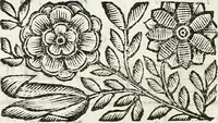 Picture 33 of 41 from Via retta della voce corale (1671), leaf 133