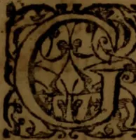 An illustration from Viaticum novum : de omnium fere particularium morborum curatione liber, authoris innominati quidem, sed longè doctissimi, verè aureus & incomparabilis (1578)