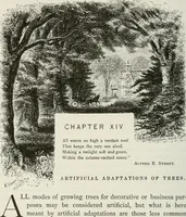 Picture 28 of 84 from Victorian gardens: The art of beautifying suburban home grounds (1870), leaf 111