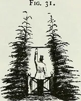 Picture 29 of 84 from Victorian gardens: The art of beautifying suburban home grounds (1870), leaf 120