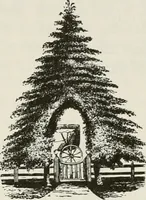 Picture 30 of 84 from Victorian gardens: The art of beautifying suburban home grounds (1870), leaf 121