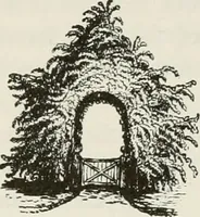 Picture 33 of 84 from Victorian gardens: The art of beautifying suburban home grounds (1870), leaf 125