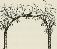 An illustration from Victorian gardens: The art of beautifying suburban home grounds (1870)